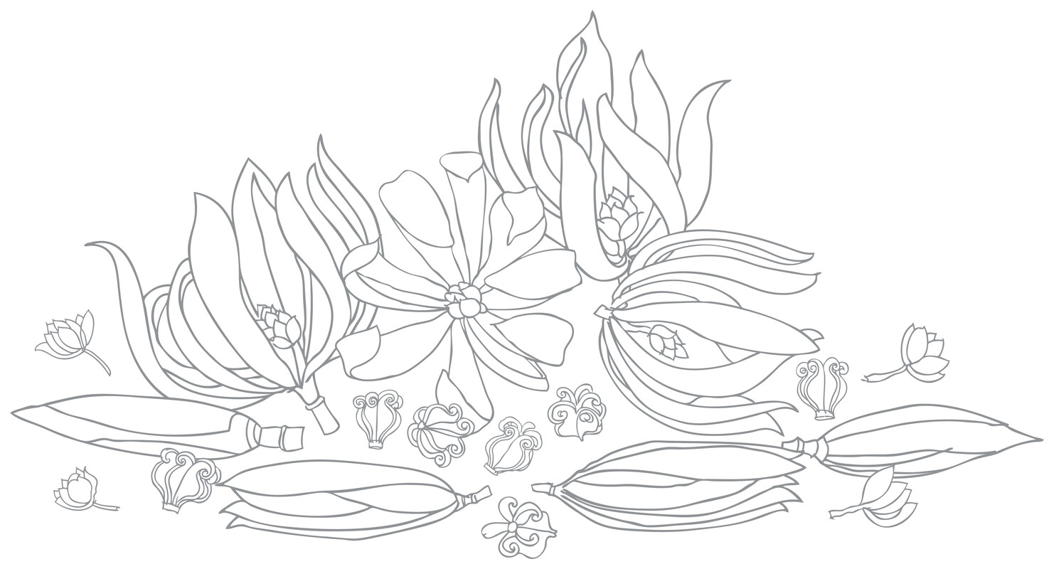 2023年3月10日 (五) 06:06版本的缩略图