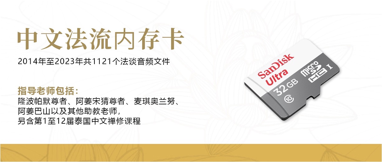 中文法流内存卡32G